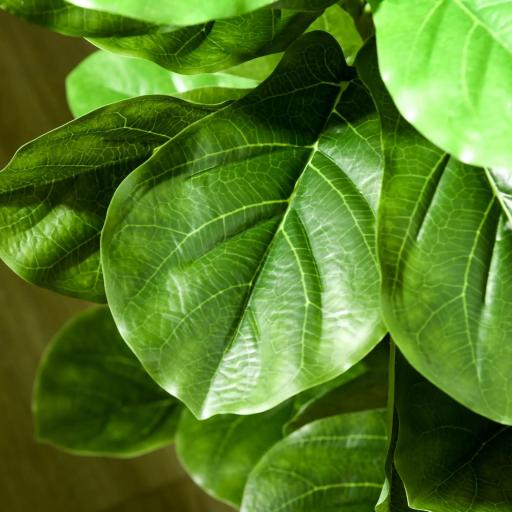 Conjunto de 2 Plantas Artificiales Decorativas 110x15 cm Árboles Artificiales de Ficus con 90 Hojas y Macetas Verde [9]