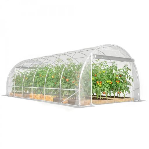 Invernadero de Túnel 6x3x2 m con 2 Puertas Enrollables Estructura de Acero Galvanizado Cubierta PE Anti-UV Transparente [8]