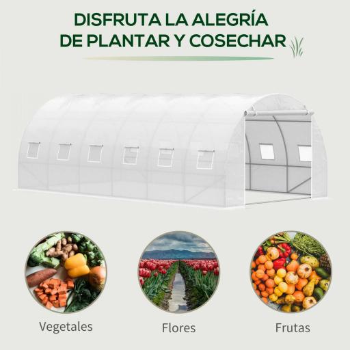 Invernadero de Túnel 6x3x2 m Invernadero de Jardín con Puerta Enrollable 12 Ventanas Cubierta de PE 140 g/m² y Metal Galvanizado para Cultivos Plantas Verduras Blanco [3]