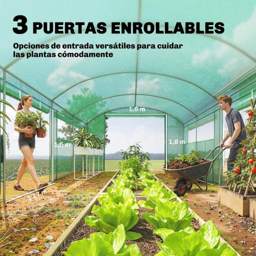 Invernadero de Túnel 6x3x2 m con 6 Ventanas de Malla Cubierta de PE Anti-UV y 3 Puertas Enrollables Verde [2]