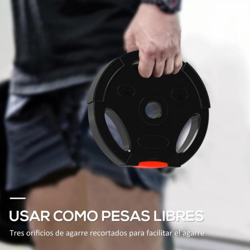 Juego de Discos Pesas de 4 Piezas 2x5 kg 2x2,5 kg con Orificios de 2,5 cm para Entrenamiento Fitness en Hogar Negro [5]