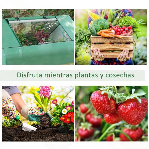 Invernadero Pequeño para Cultivo con 4 Ventanas Enrollables Marco de Acero y Cubierta PE Anti-UV 180x140x80 cm Verde [4]