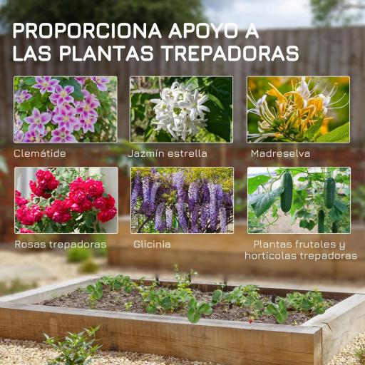 Juego de 2 Enrejados de Jardín Soportes para Enredaderas de Acero para Flores Plantas en Patio 50x180 cm Negro [4]