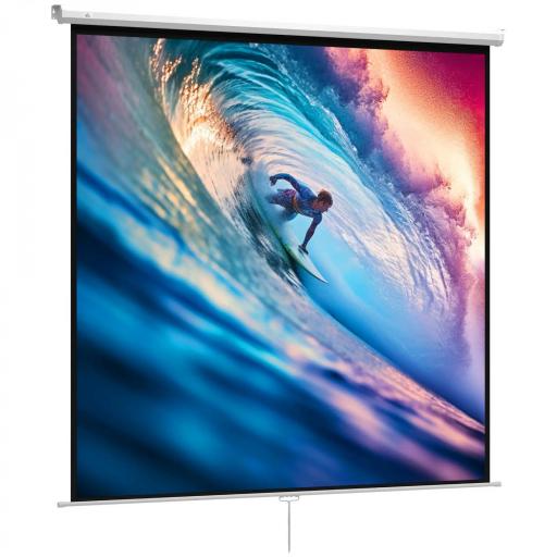 Pantalla de Proyector Manual 120 Pulgadas Pantalla de Proyección Portátil Formato 1:1 para Interior y Exterior Cine en Casa Patio 207x207 cm Blanco [8]
