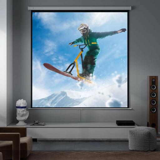 Pantalla de Proyector Manual 120 Pulgadas Pantalla de Proyección Portátil Formato 1:1 para Interior y Exterior Cine en Casa Patio 207x207 cm Blanco [3]