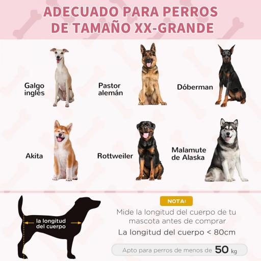 Cama Elevada para Perros Gatos Portátil Cama para Mascotas con Zona de Malla Transpirable y Tela Oxford para Interior Exterior 122x92x23 cm Rojo [5]