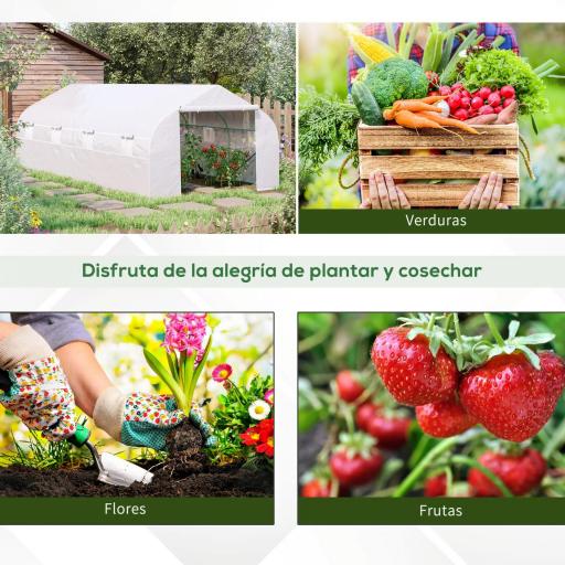 Invernadero Tipo Caseta de Jardín o Terraza 6x3x2 m para Cultivo de Plantas y Semillas Color Blanco [4]