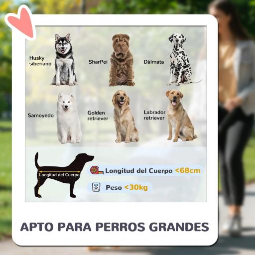 Cochecito Plegable para Mascotas con Ventanas de Malla Cojín Acolchado para Perros de hasta 30 kg 124x67x100 cm Azul [4]