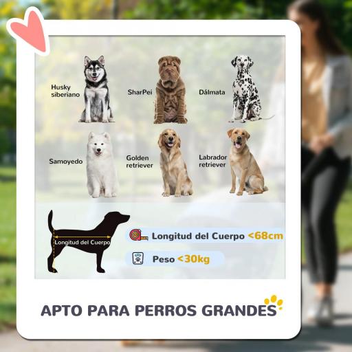 Carrito para Perros Plegable con Ventanas de Malla Cojín Lavable Correas de Seguridad 124x67x100 cm Gris Oscuro [5]