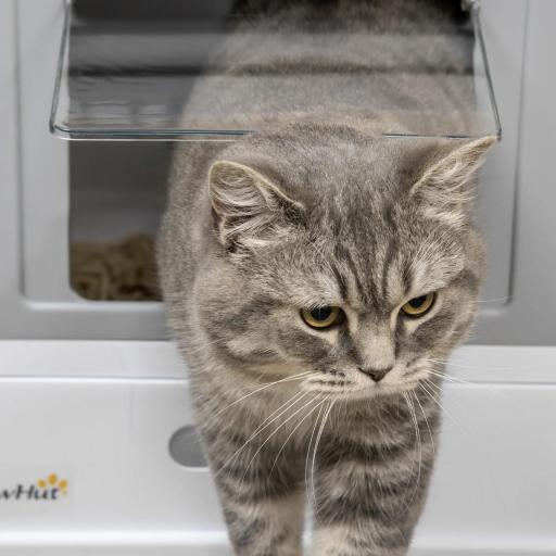 Arenero Cubierto para Gatos Desmontable con Entrada Frontal y Salida Superior con Pala 47,5x35,5x36,7 cm Gris y Blanco [6]