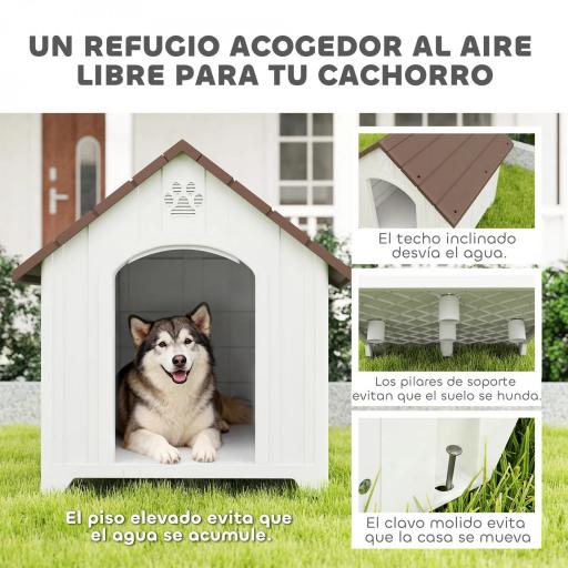 Caseta para Perros Exterior Casa para Perros Extragrandes de Plástico con 2 Ventanas Base Elevada Estacas Marrón Oscuro [4]