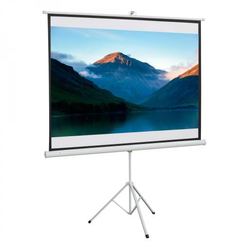 Pantalla de Proyector Manual con Soporte 84 Pulgadas Pantalla de Proyección Portátil Formato 4:3 para Interior y Exterior Cine en Casa Patio 171x131 cm Blanco [9]