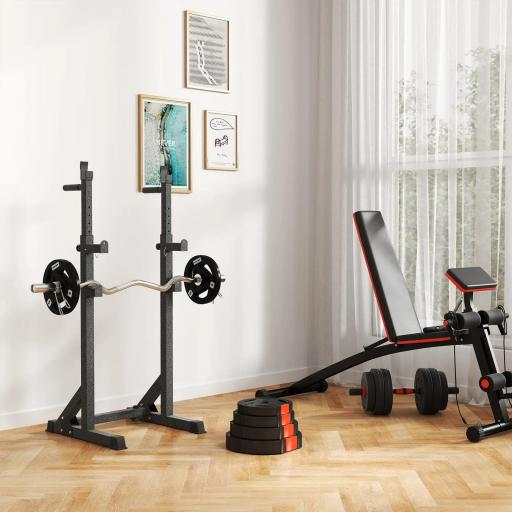 Juego de Discos Pesas de 4 Piezas 2x5 kg 2x7,5 kg con Orificios de 2,5 cm para Entrenamiento Fitness en Hogar Negro [6]