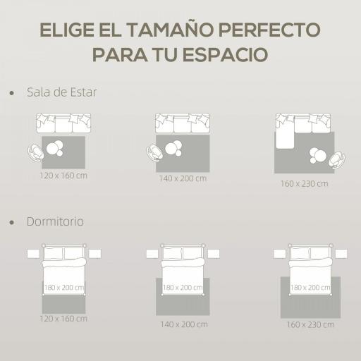 Alfombra Salón 160x230 cm Lavable en Lavadora Pelo Largo Estilo Moderno Tapete para Sala de Estar Dormitorio Gris Claro [2]