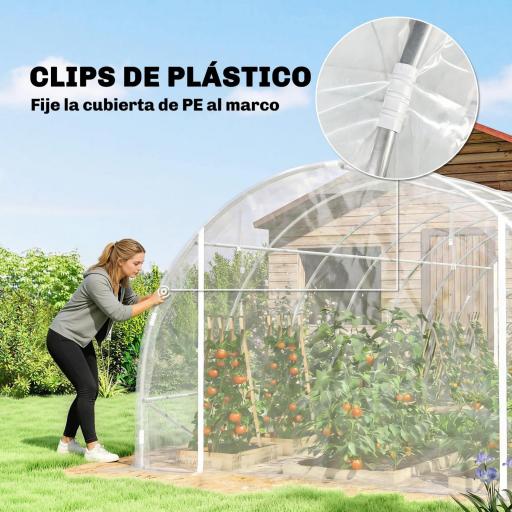 Invernadero de Túnel 6x3x2 m con 2 Puertas Enrollables Estructura de Acero Galvanizado Cubierta PE Anti-UV Transparente [3]