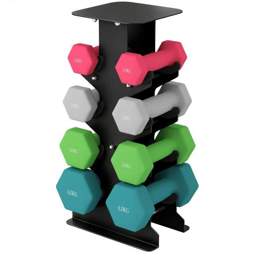 Juego de Mancuernas 2x1kg 2x2kg 2x3kg 2x4kg con Soporte de Almacenamiento para Ejercicio Entrenamiento Multicolor [8]