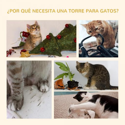 Árbol para Gatos de Suelo a Techo de 240-260 cm con Altura Ajustable Múltiples Plataformas Cuevas Cestos y Rampas Gris [4]