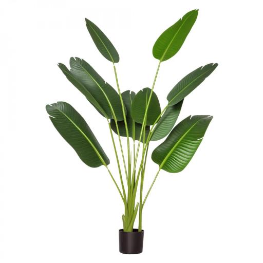 Planta Artificial Bananera de 160 cm con Maceta y 10 Hojas Realistas Planta Tropical Sintética para Decoración en Interior y Exterior Oficina Hogar Verde [1]