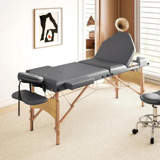 Camilla Masaje Plegable de Madera de 3 Zonas con Altura Respaldo Reposacabezas Ajustables Brazos 215x60x64-89 cm Gris [2]