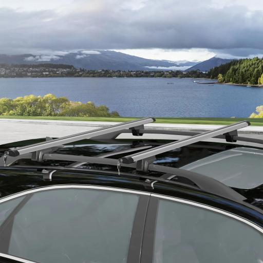 Barras de Techo Universales para Vehículos de Aluminio Bacas Portaequipajes Coche Automóvil Baca para Coche Universales con Cerradura Carga 75 kg 123,5 cm Plata [1]