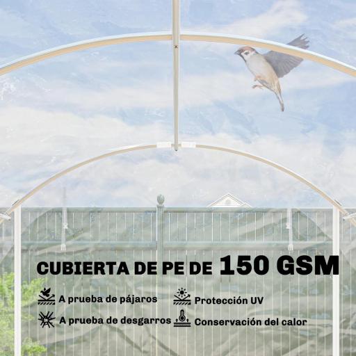 Invernadero de Túnel 6x3x2 m con 2 Puertas Enrollables Estructura de Acero Galvanizado Cubierta PE Anti-UV Transparente [4]