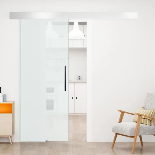 Puerta Corredera de Cristal 90x205 cm Puerta Corrediza Deslizante con Riel de Cristal de Seguridad Translúcido