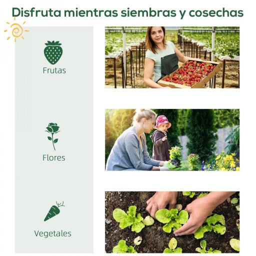 Invernadero de Jardín con 4 Estantes Metálicos Puerta Enrollable y Cubierta de PE Vivero Casero de Terraza para Cultivo Plantas Flores Macetas 80x49x160 cm Verde [2]