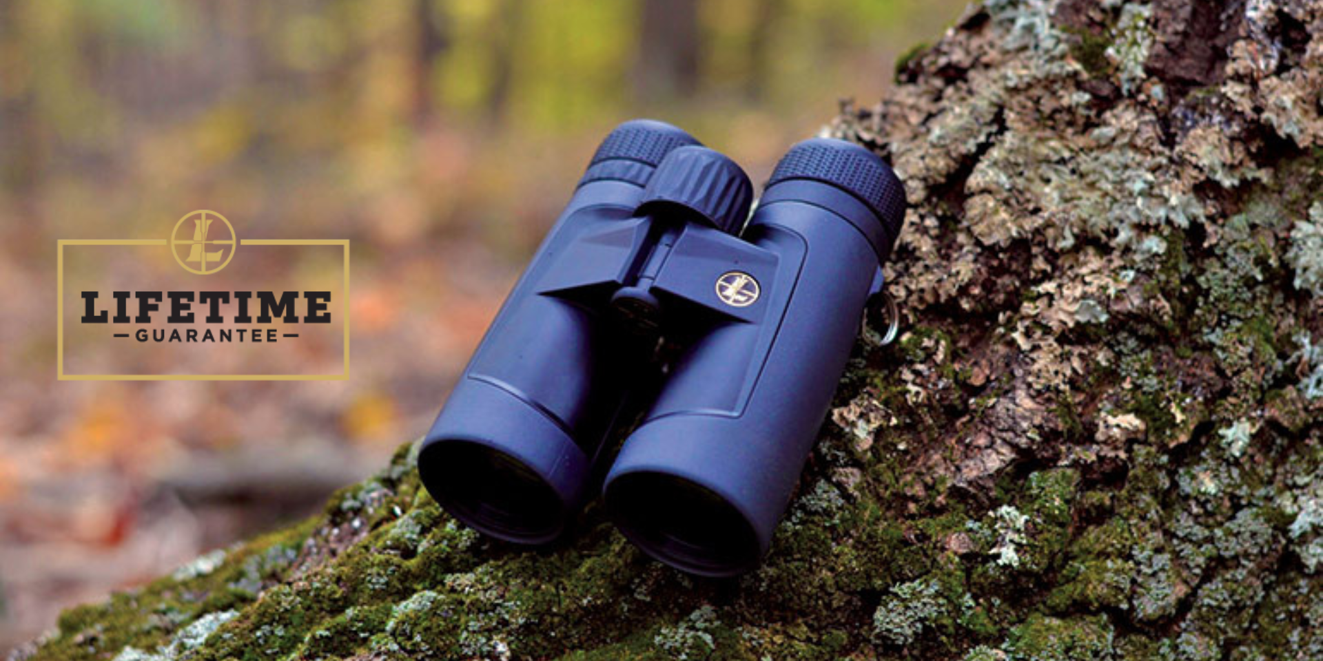 carral-naturaleza-portada (2).png