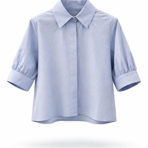 BLUSA DE MANGA CORTA Y ABULLONADAS [1]