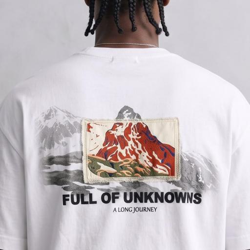 CAMISETA OVERSIZE DE ALGODON BOXI FIT [1]