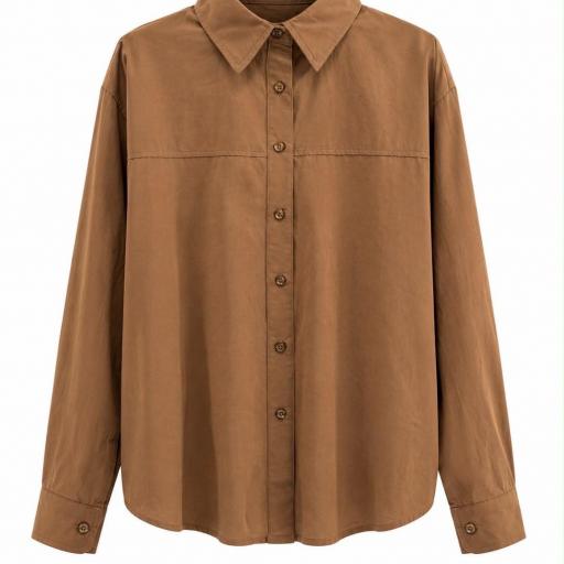 CAMISA  CLASICA  [2]