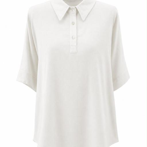 CAMISETA  TIPO POLO [2]