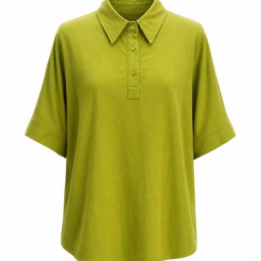 CAMISETA  TIPO POLO [0]