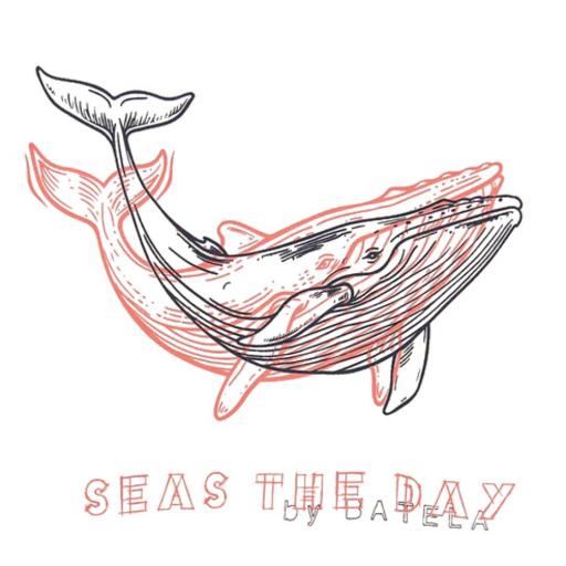 CAMISETA HOMBRE BATELA BALLENA [4]