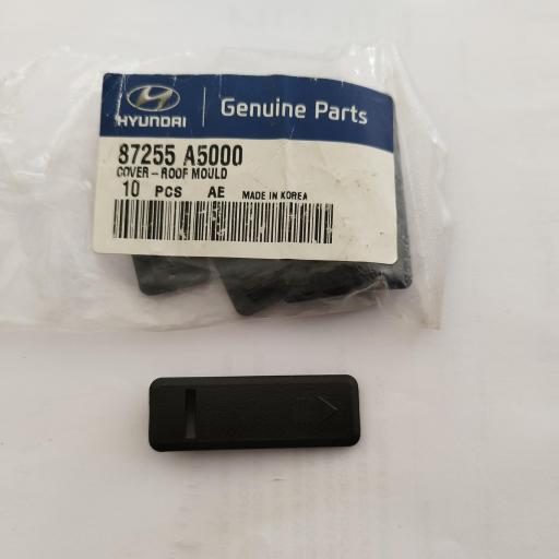 TAPA RIEL TECHO HYUNDAI I20 I30 OTROS 