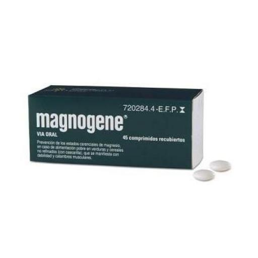 Magnogene 53 mg 45 comprimidos recubiertos [0]