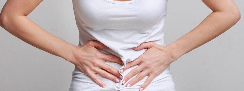 - Bienestar digestivo 