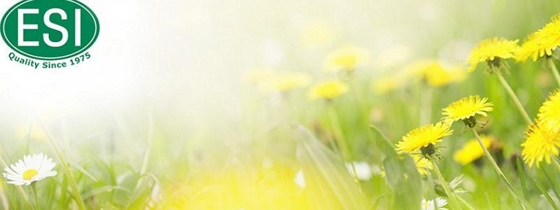ESI