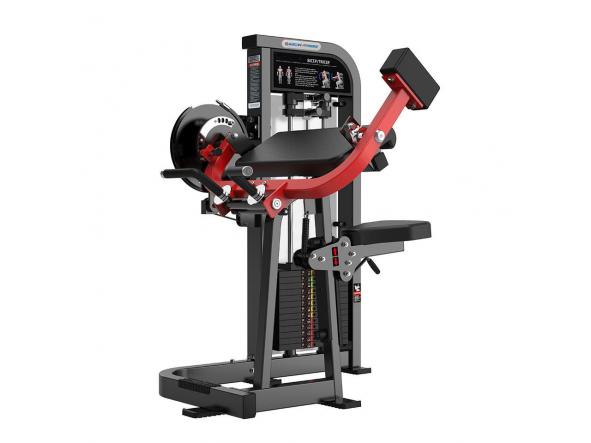 Biceps Triceps Doble V9-09 [0]