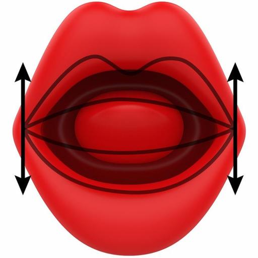Vibrador con lengua [2]