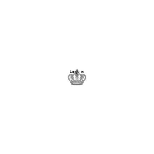 Logo de Queen Lingerie