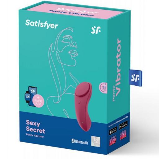 Vibrador Sexy Secret con control remoto con App [3]
