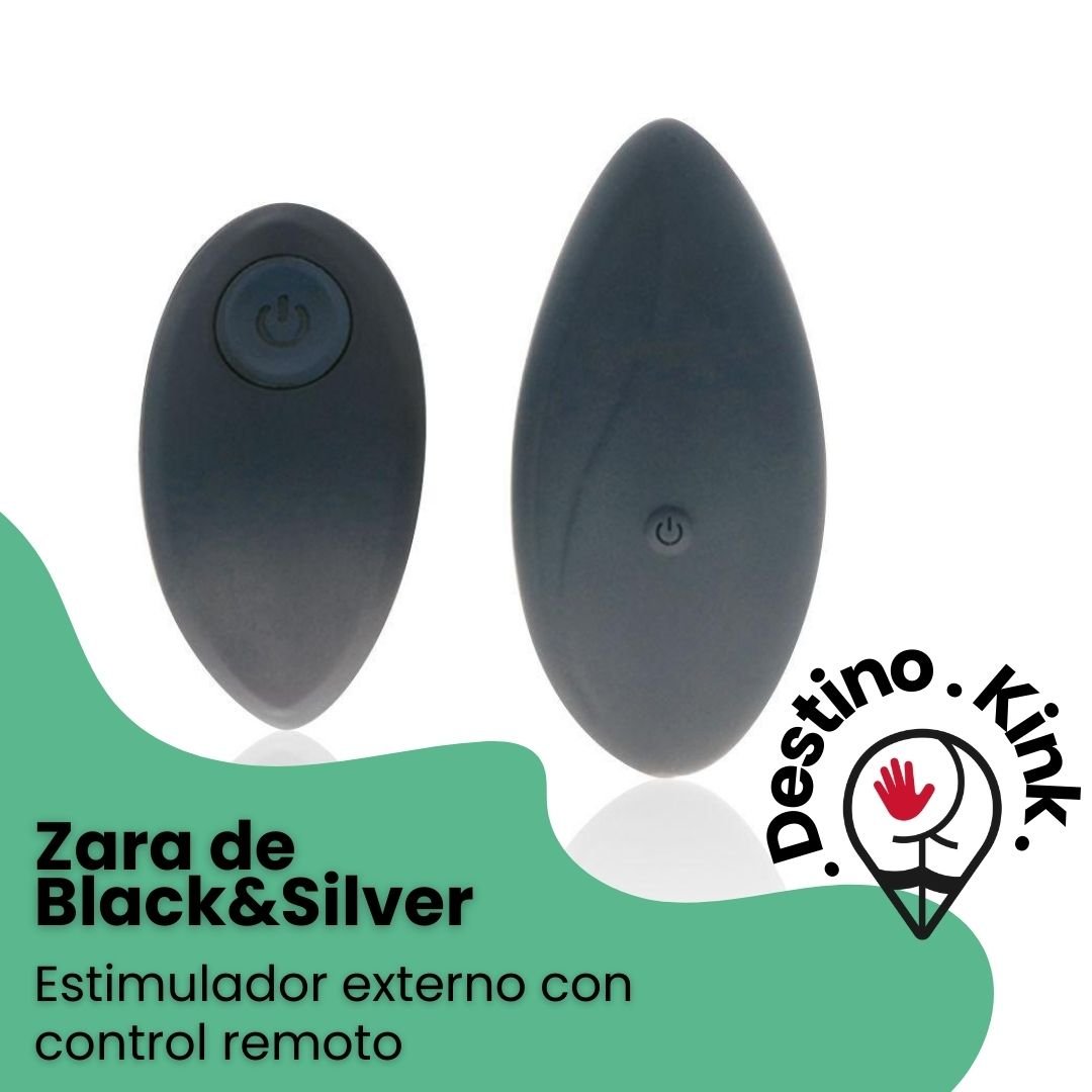 Zara de control remoto de Black & Silver