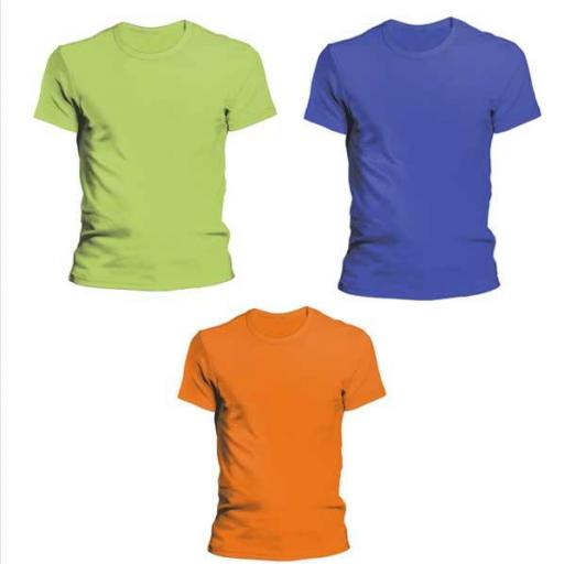 Camiseta BEST FRIENDS Amazonas [2]