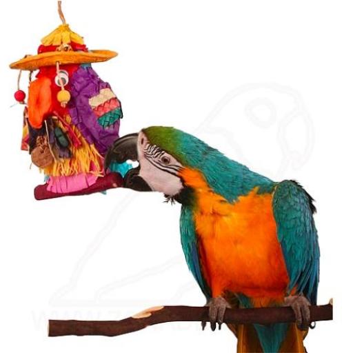 Piñata para loros "Pete the parrot" [2]