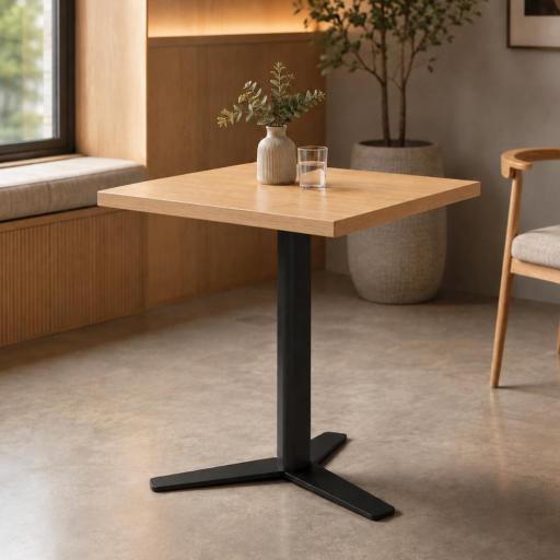 Mesa Peliccan Aspa de Cancio [1]