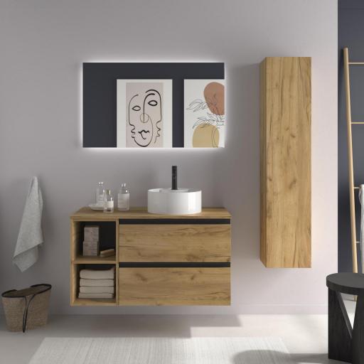 Mueble de baño sobre encimera Bequia Plus Metal 2 cajones 2 huecos de Salgar [1]