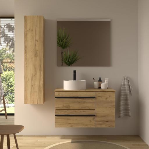 Mueble de baño sobre encimera Born Plus 2 cajones 1 puerta de Salgar [0]