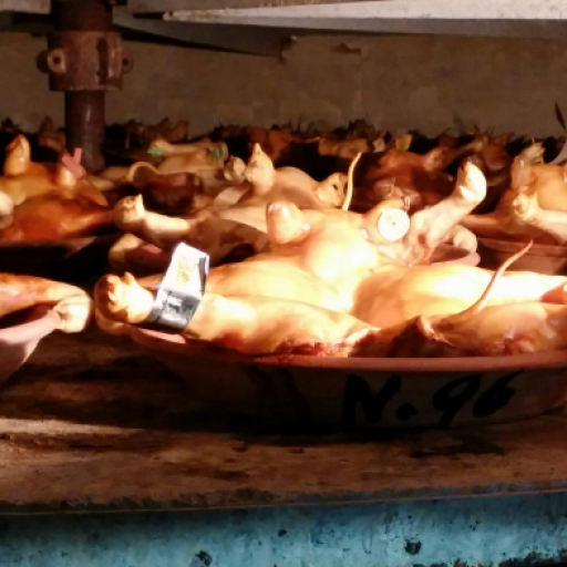 Cochinillo de Arévalo Asado en Horno de Leña (8-10 raciones) Tradición desde 1875 [1]