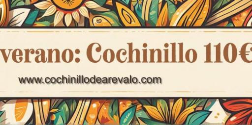 Oferta de verano Cochinillo asado 110€